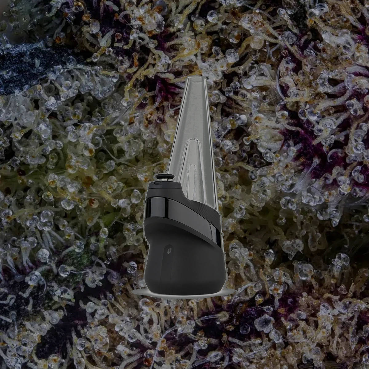 Puffco Peak, for extracts from Trichly