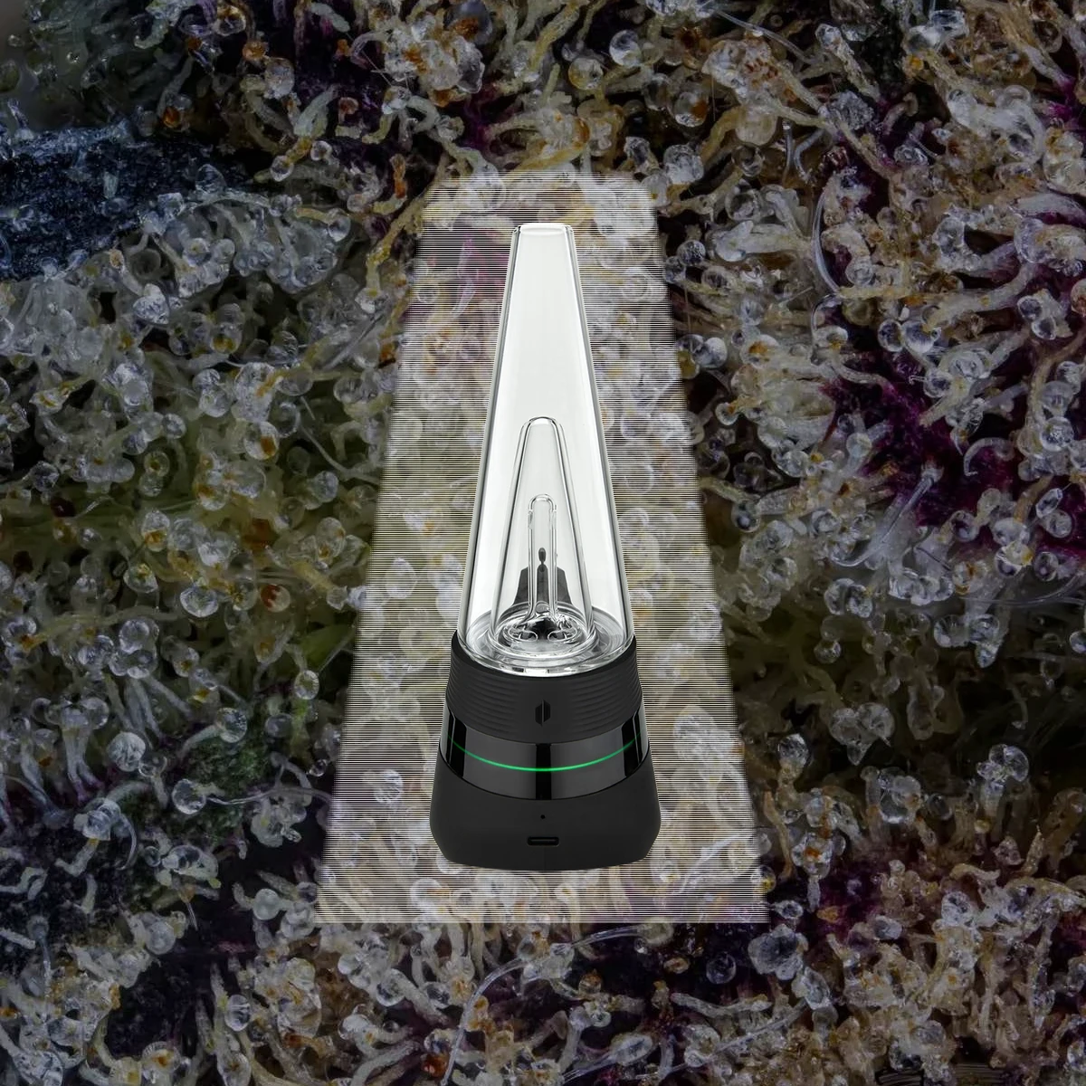 Puffco Peak
