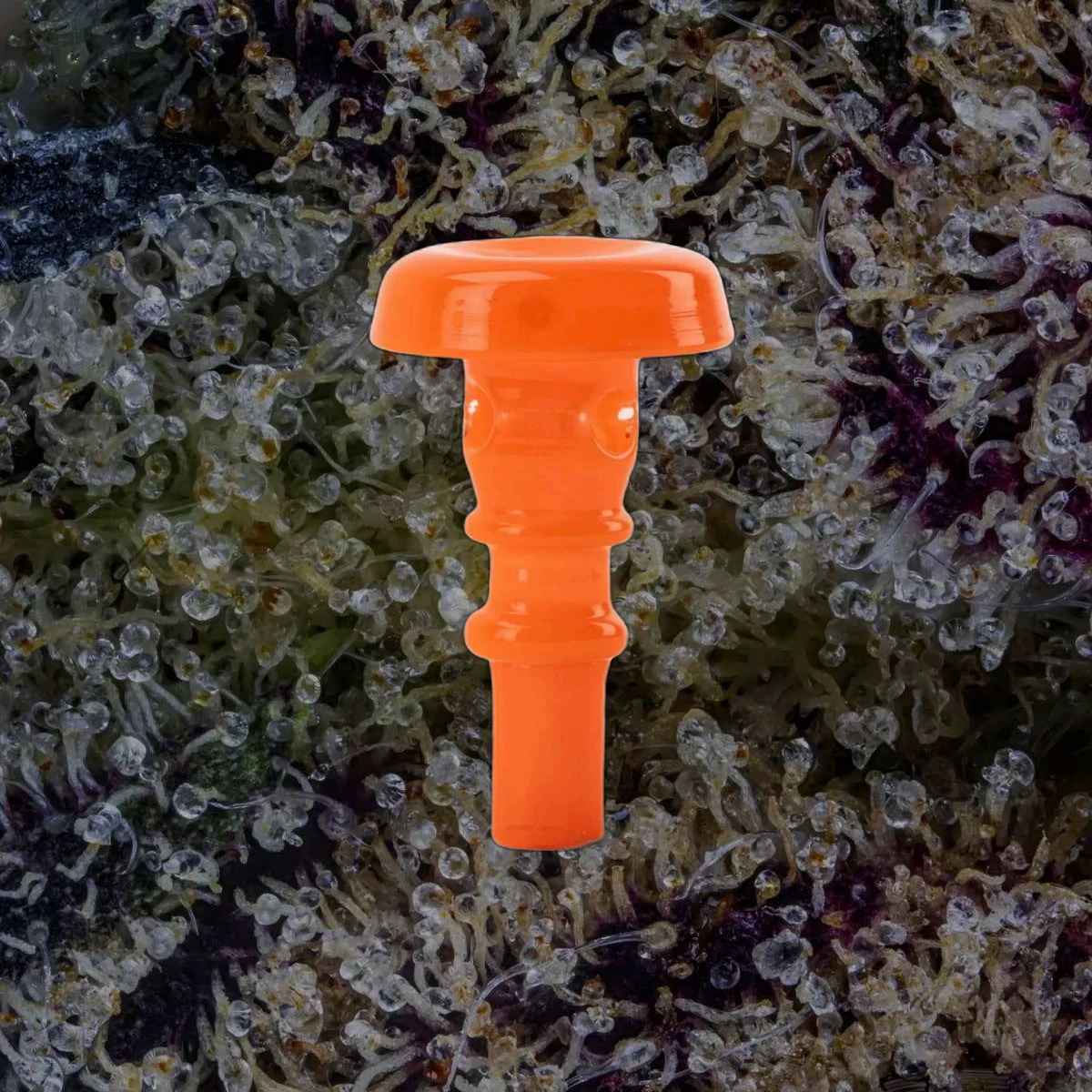 Puffco Peak Pro 3DXL Joystick Caps, accessories from Trichly