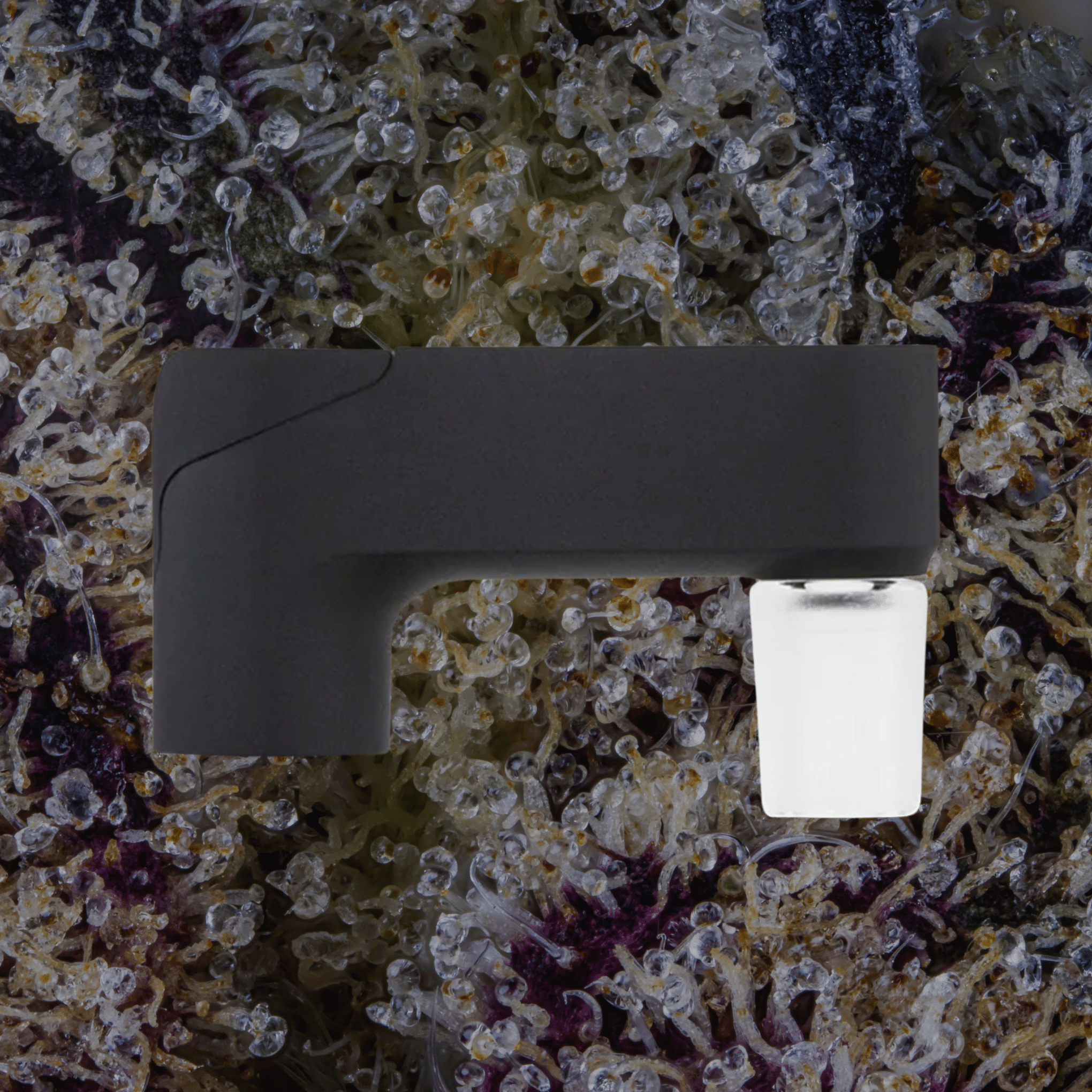 Puffco Pivot Glass Adapter — glass from Trichly