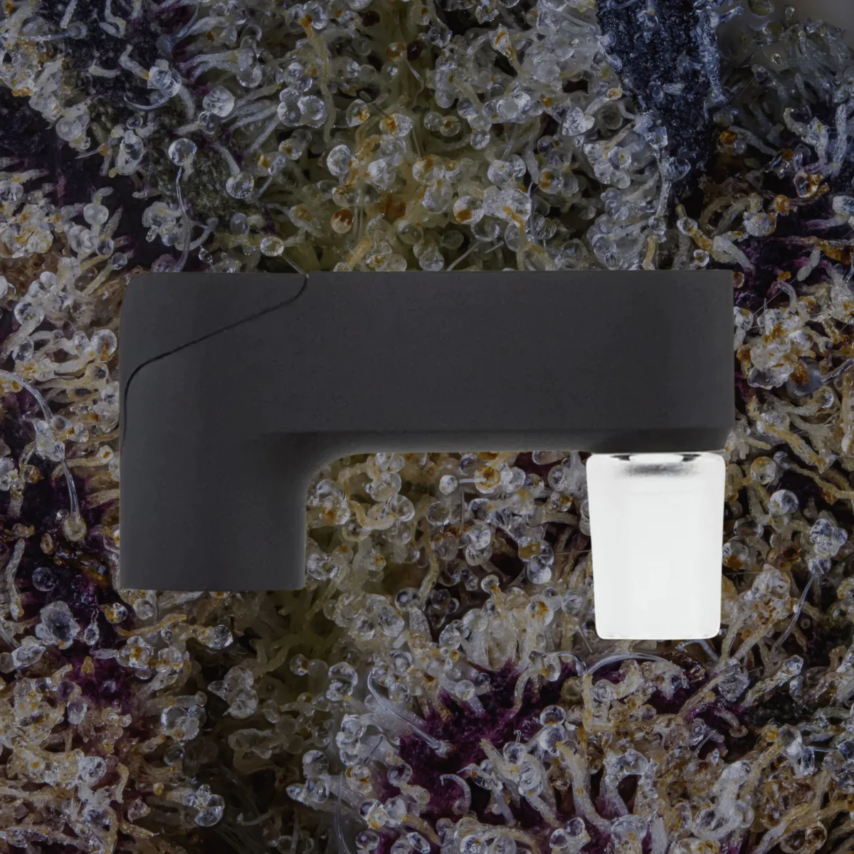 Puffco Pivot Glass Adapter — glass from Trichly