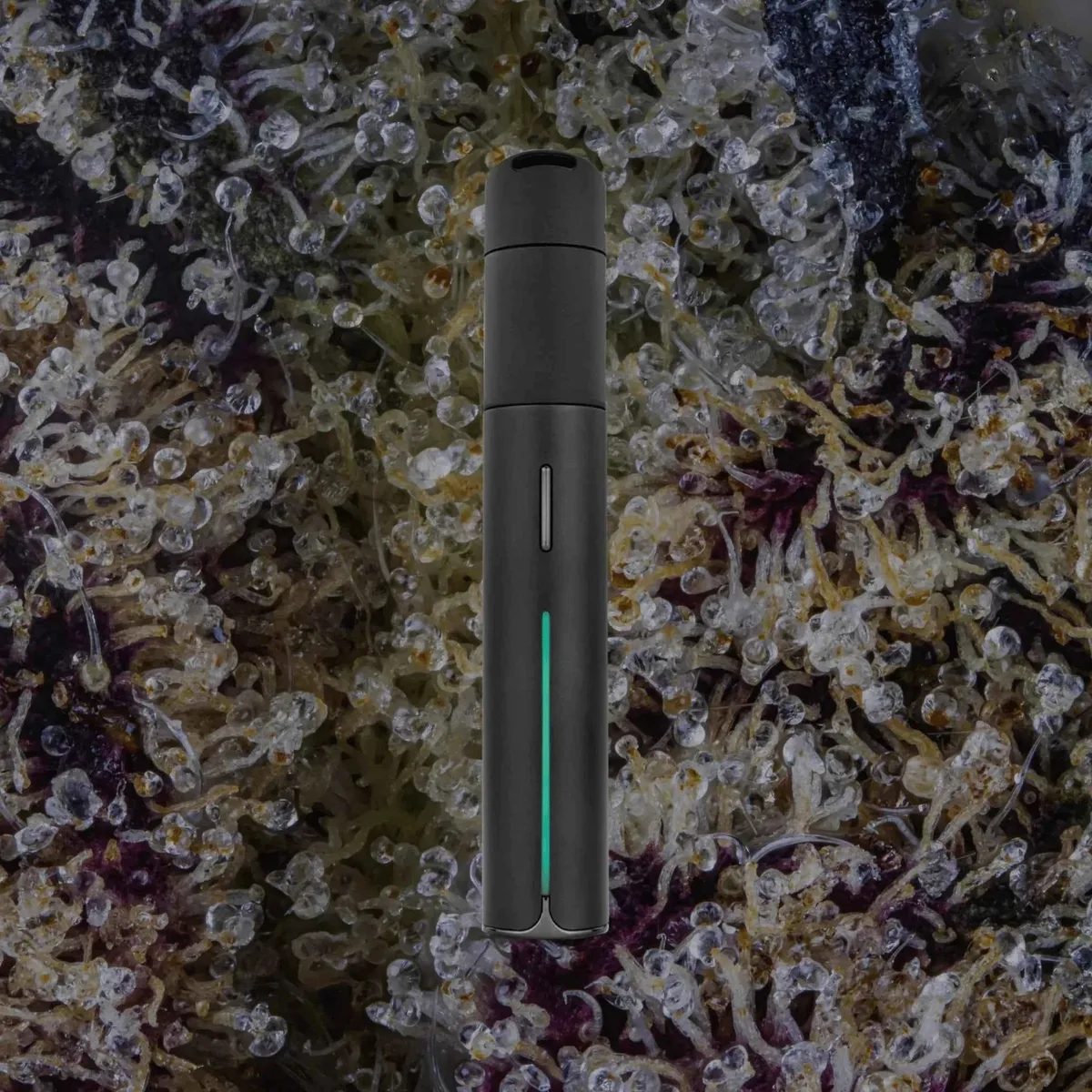 Puffco Pivot