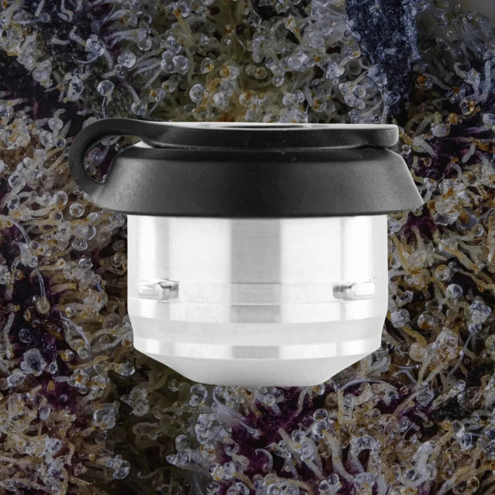 Puffco Proxy 3D Chamber — replacement chambers from Trichly