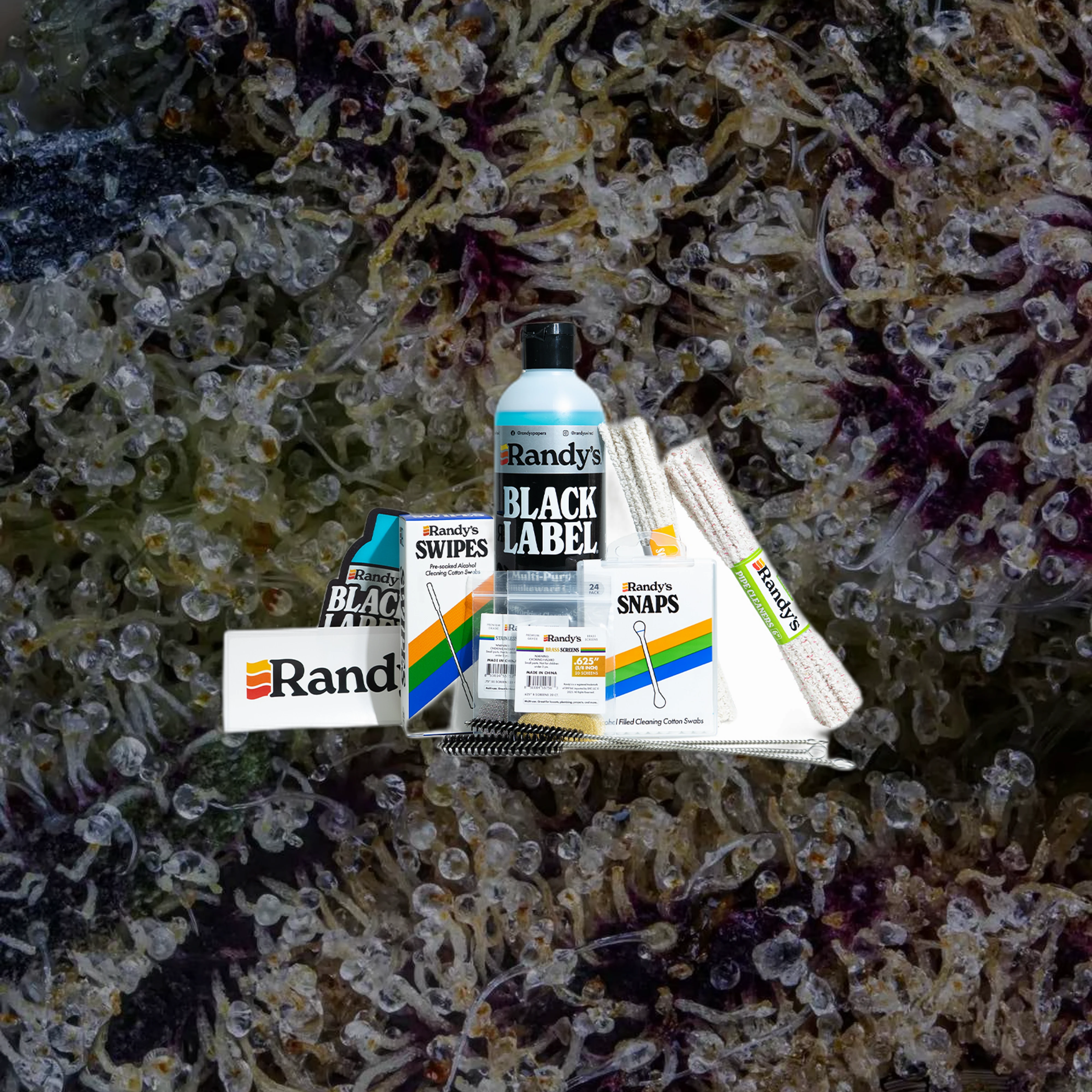Randy's 9-Piece Glass Cleaning Kit