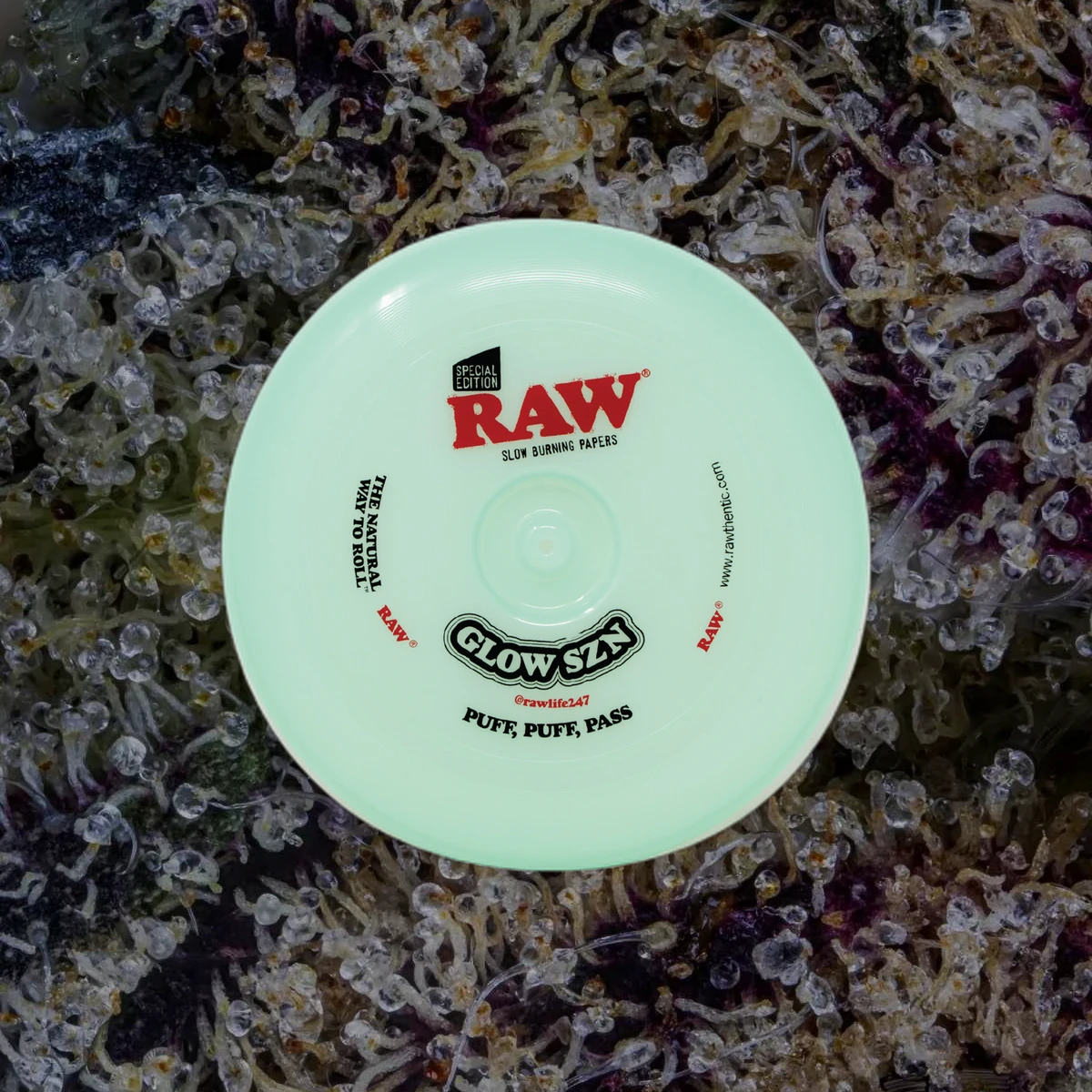 RAW Cone Flying Disc, novelty from Trichly