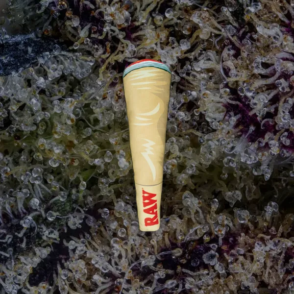 RAW Cone Pillow, novelty from Trichly photo 2