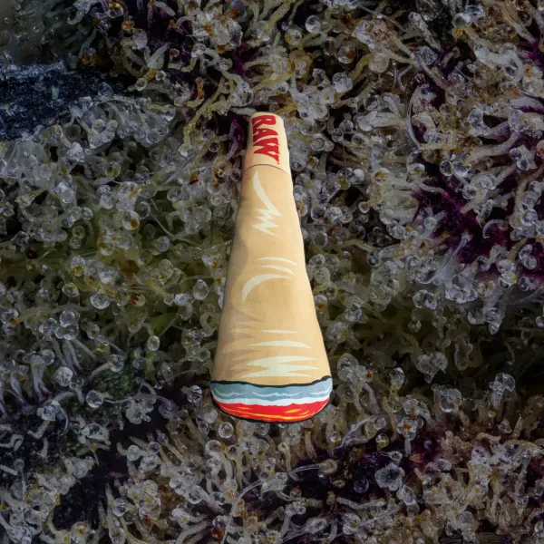 RAW Cone Pillow, novelty from Trichly photo 3
