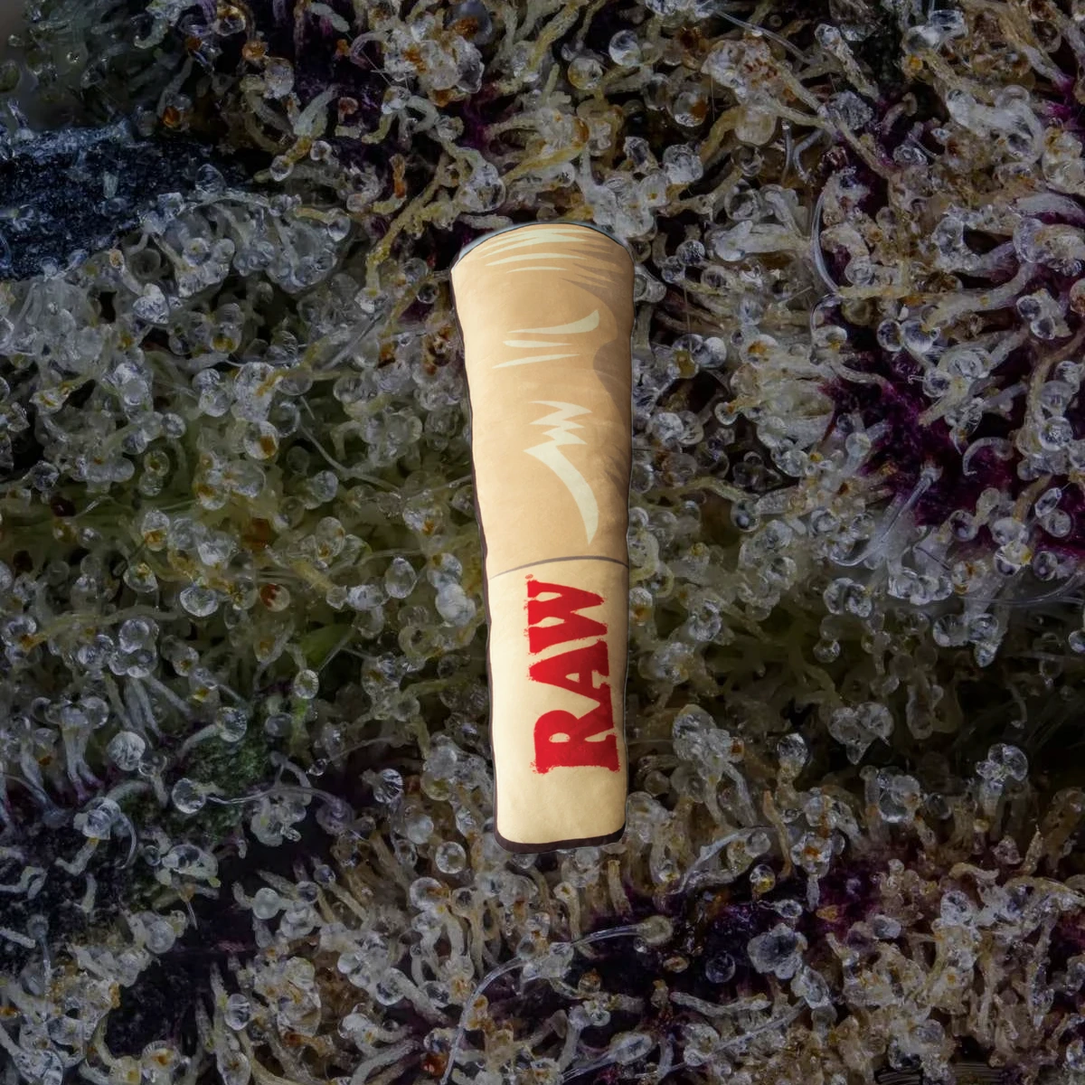 RAW Cone Pillow, novelty from Trichly