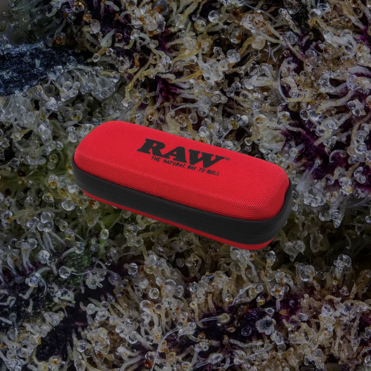 RAW Cone Wallet, novelty from Trichly