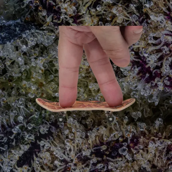 RAW Finger Board, novelty from Trichly photo 4