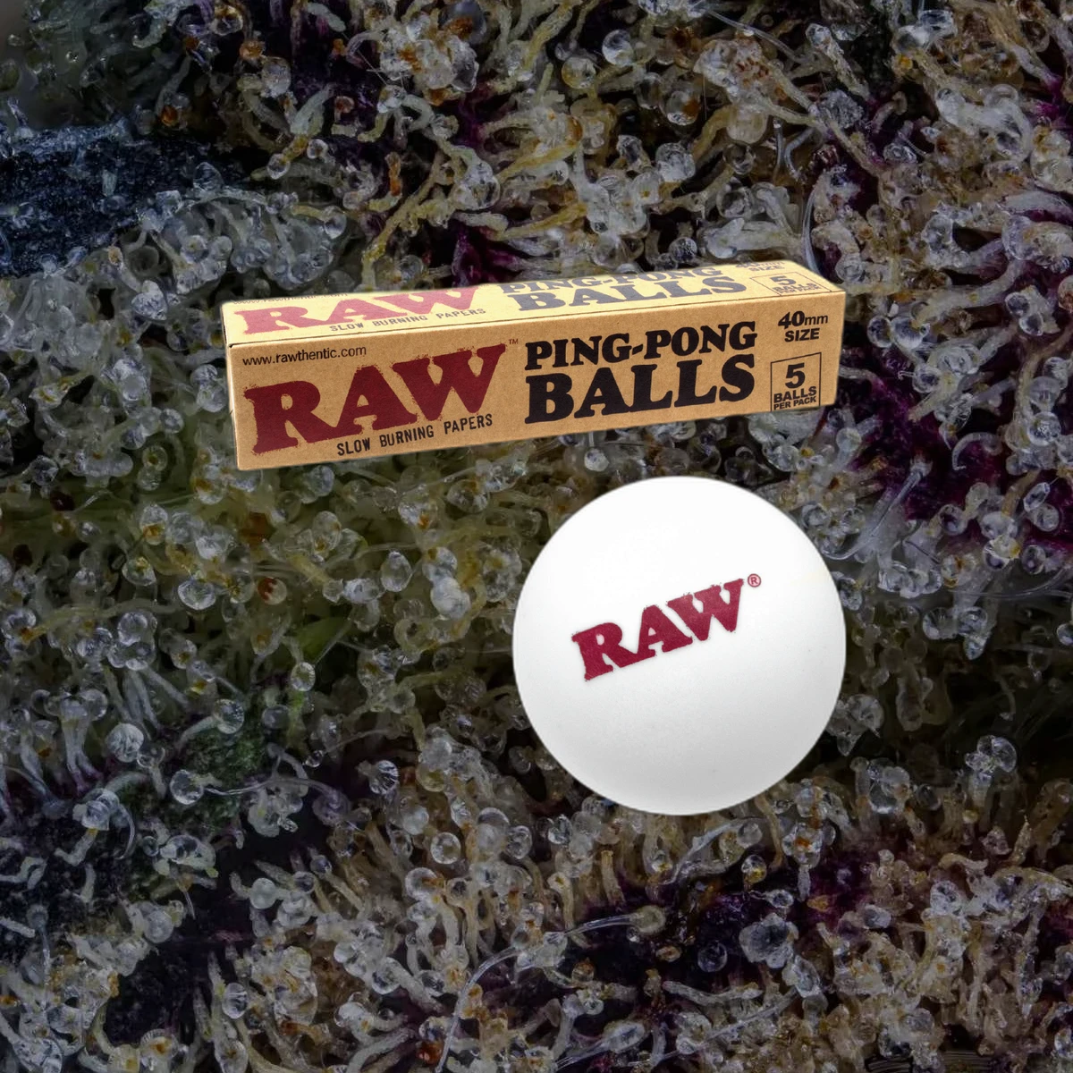 RAW Ping Pong Balls (5 Pack), novelty from Trichly