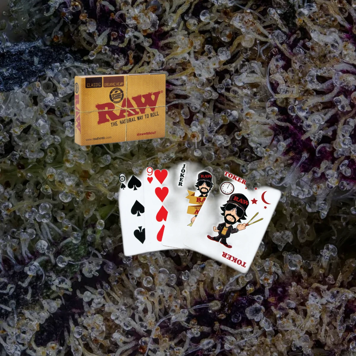 RAW Playing Cards, novelty from Trichly