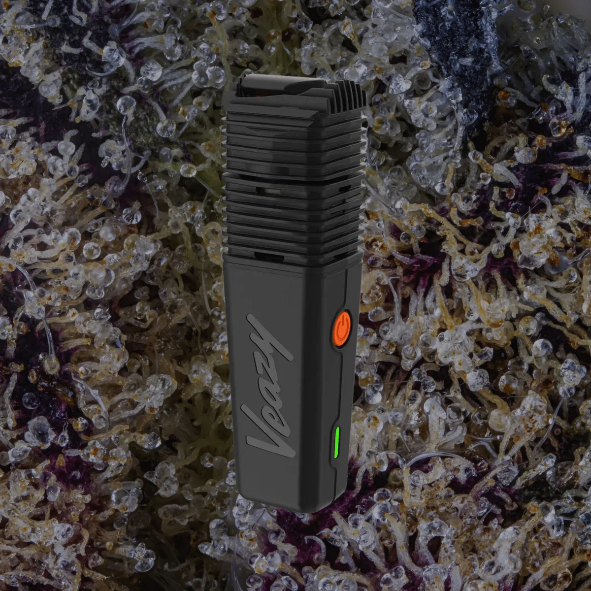 Storz & Bickel Veazy Vaporizer, for flower from Trichly