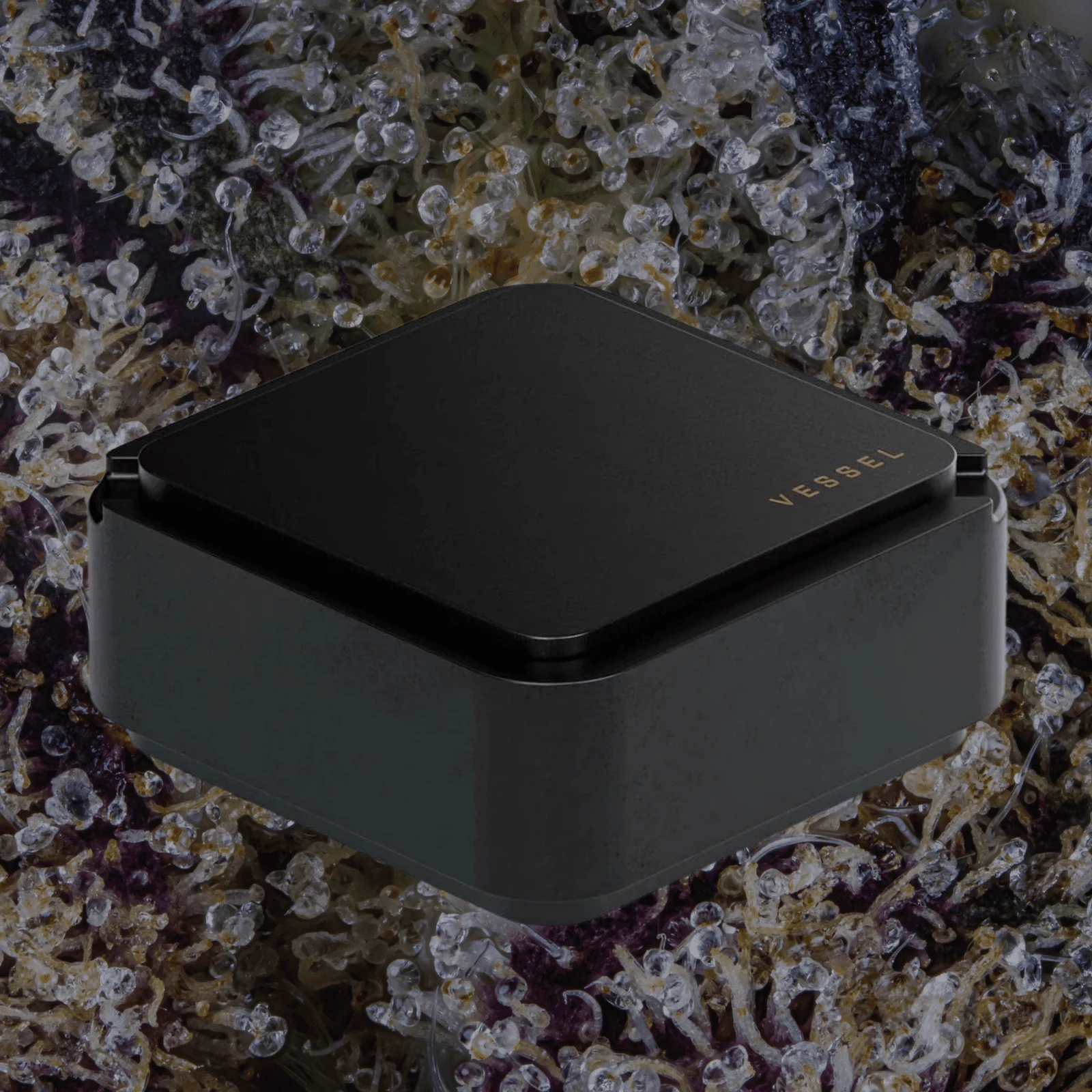 Vessel Ash Ashtray & Storage, accessories from Trichly