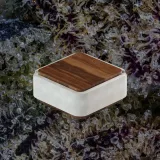 Vessel Ash Ashtray & Storage, accessories from Trichly photo 2