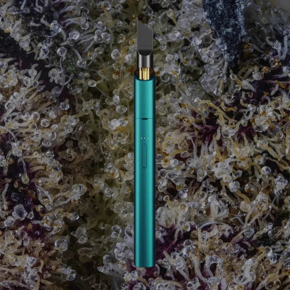 Vessel Vista Edge, cart batteries from Trichly