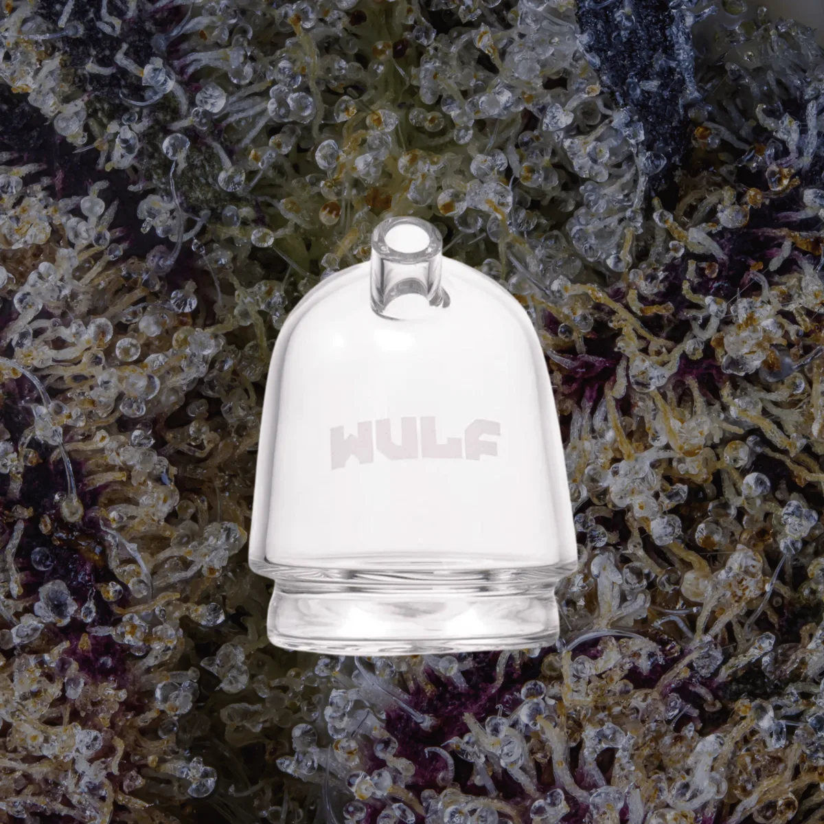 Wulf Mods Link Puffco Peak Top — glass from Trichly