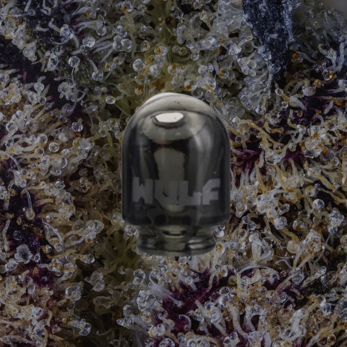 Wulf Mods Loon Puffco Pivot Top — glass from Trichly