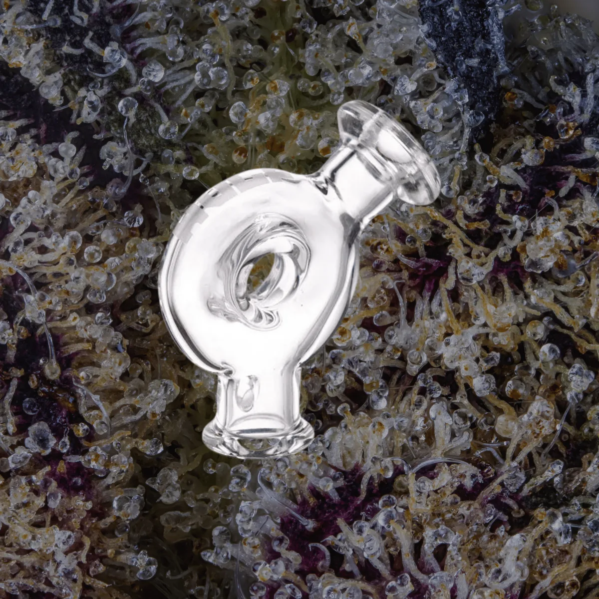 Wulf Mods Ring Puffco Pivot Top — glass from Trichly