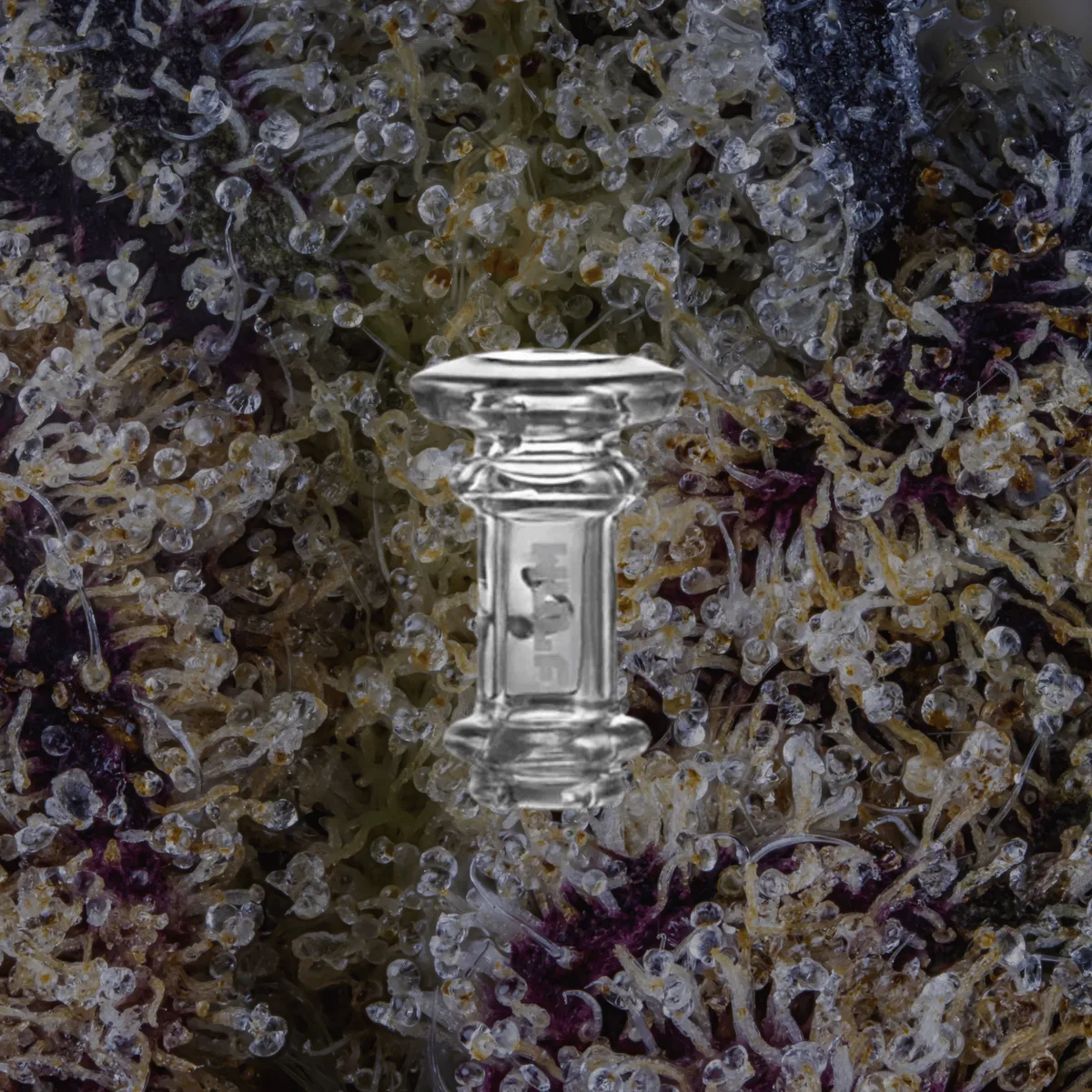 Wulf Mods Towr Puffco Pivot Top — glass from Trichly
