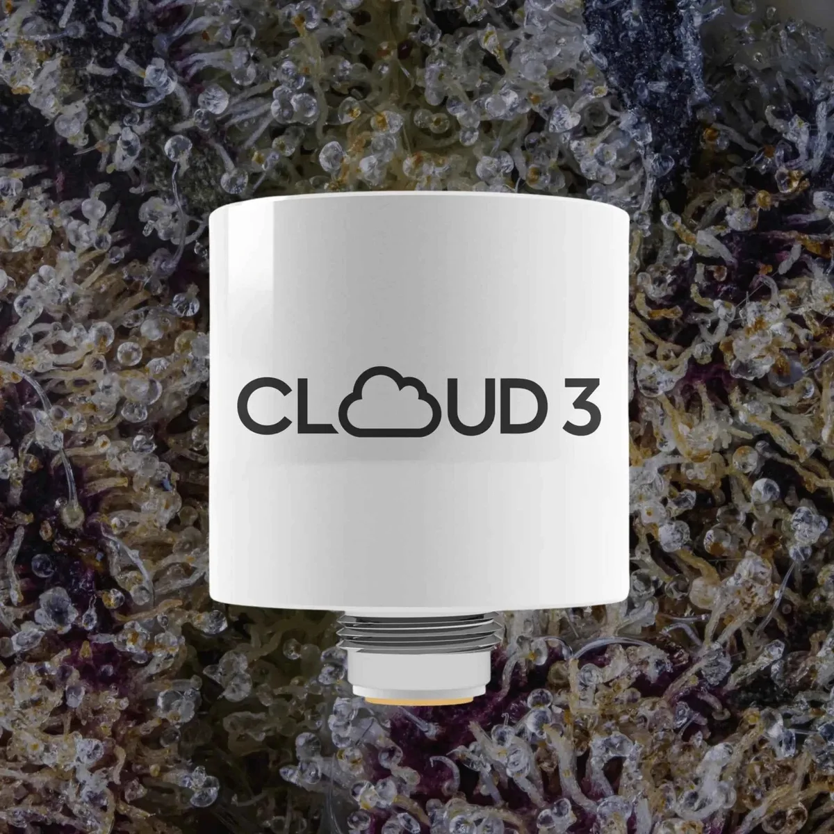 Yocan Cloud3 Chamber — replacement chambers from Trichly
